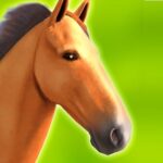 Horse Run 3D