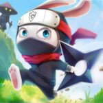 Ninja Rabbit