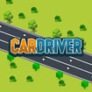 Car Driver